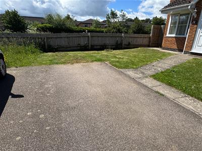 Picture 14